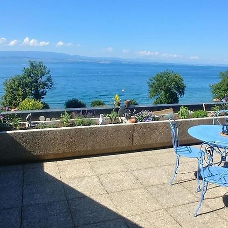 Lakefront. Appartement Pieds Dans L'Eau. View And Direct Access To The Lake. Anthy-sur-Leman Экстерьер фото