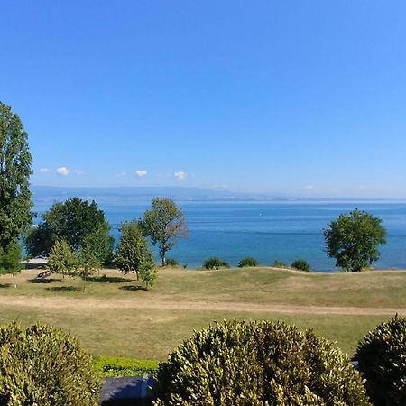 Lakefront. Appartement Pieds Dans L'Eau. View And Direct Access To The Lake. Anthy-sur-Leman Экстерьер фото