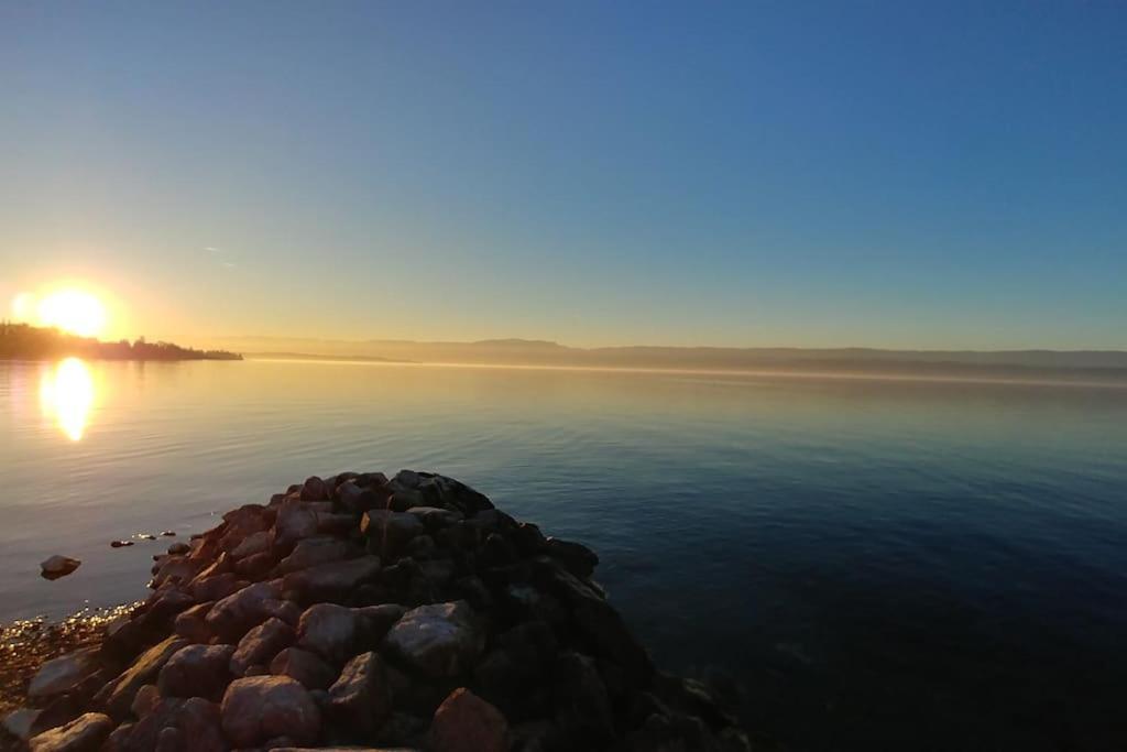 Lakefront. Appartement Pieds Dans L'Eau. View And Direct Access To The Lake. Anthy-sur-Leman Экстерьер фото