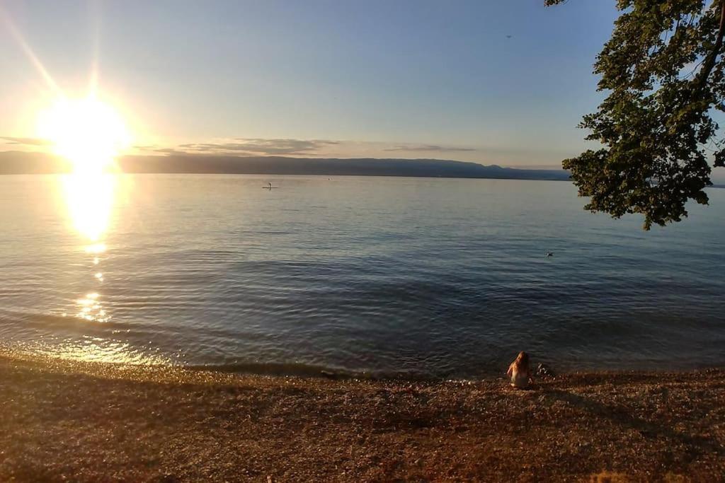 Lakefront. Appartement Pieds Dans L'Eau. View And Direct Access To The Lake. Anthy-sur-Leman Экстерьер фото