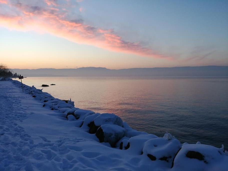 Lakefront. Appartement Pieds Dans L'Eau. View And Direct Access To The Lake. Anthy-sur-Leman Экстерьер фото