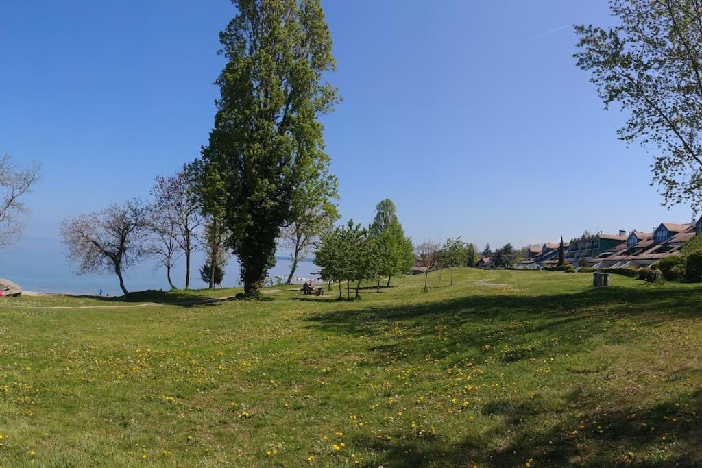 Lakefront. Appartement Pieds Dans L'Eau. View And Direct Access To The Lake. Anthy-sur-Leman Экстерьер фото