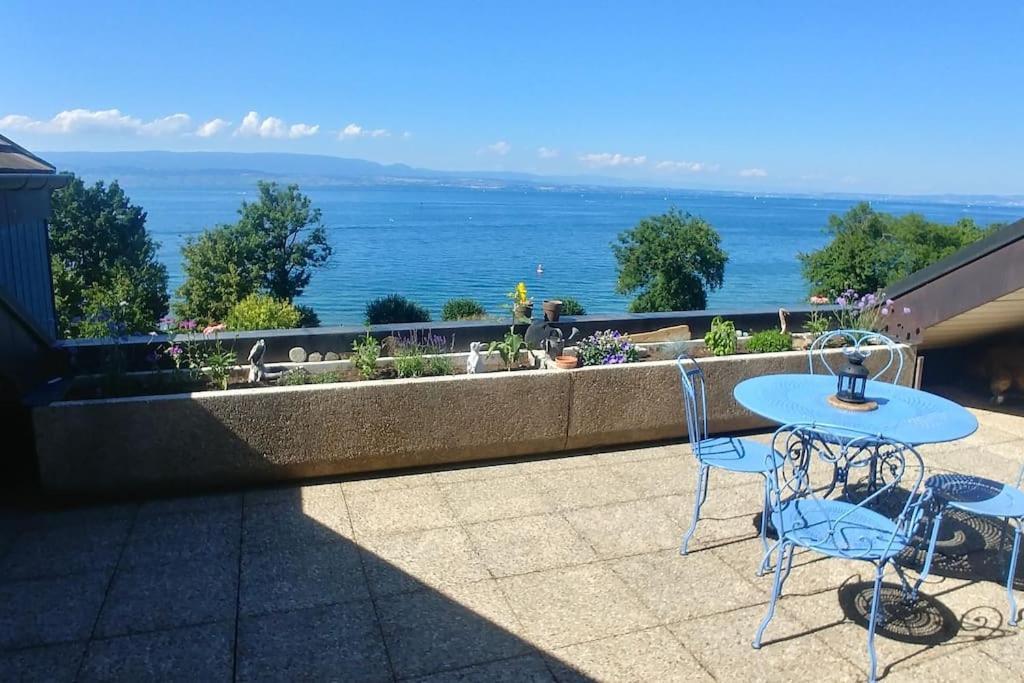 Lakefront. Appartement Pieds Dans L'Eau. View And Direct Access To The Lake. Anthy-sur-Leman Экстерьер фото