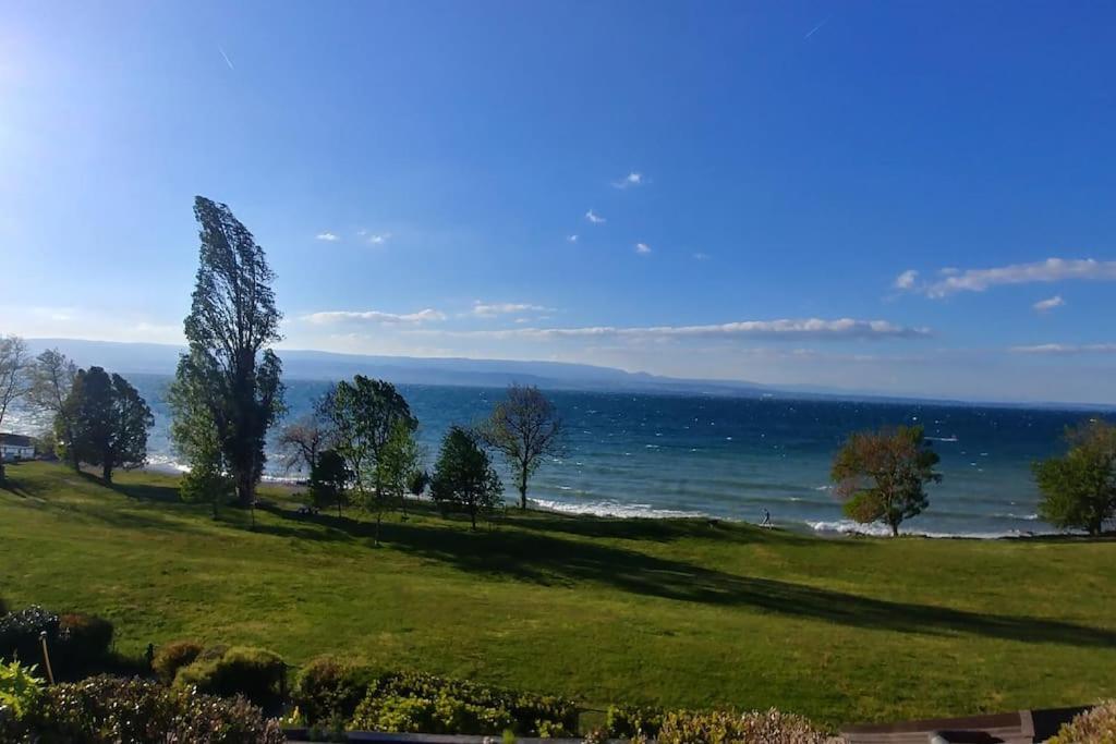 Lakefront. Appartement Pieds Dans L'Eau. View And Direct Access To The Lake. Anthy-sur-Leman Экстерьер фото