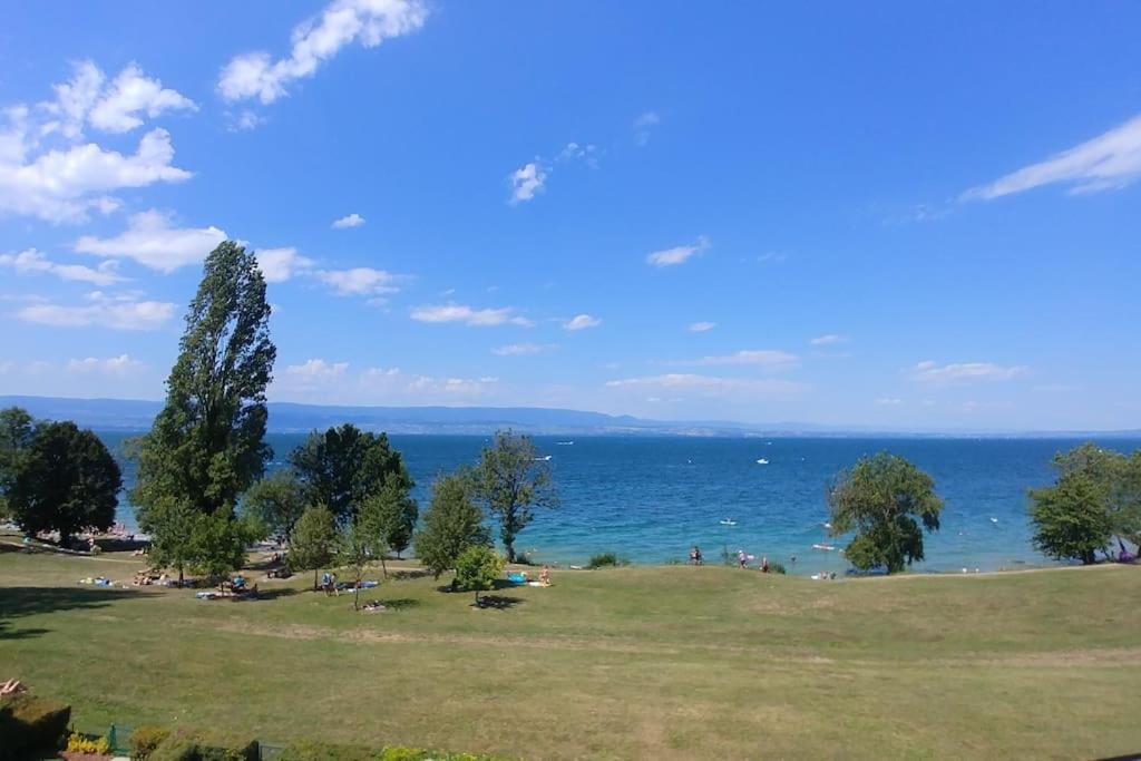 Lakefront. Appartement Pieds Dans L'Eau. View And Direct Access To The Lake. Anthy-sur-Leman Экстерьер фото