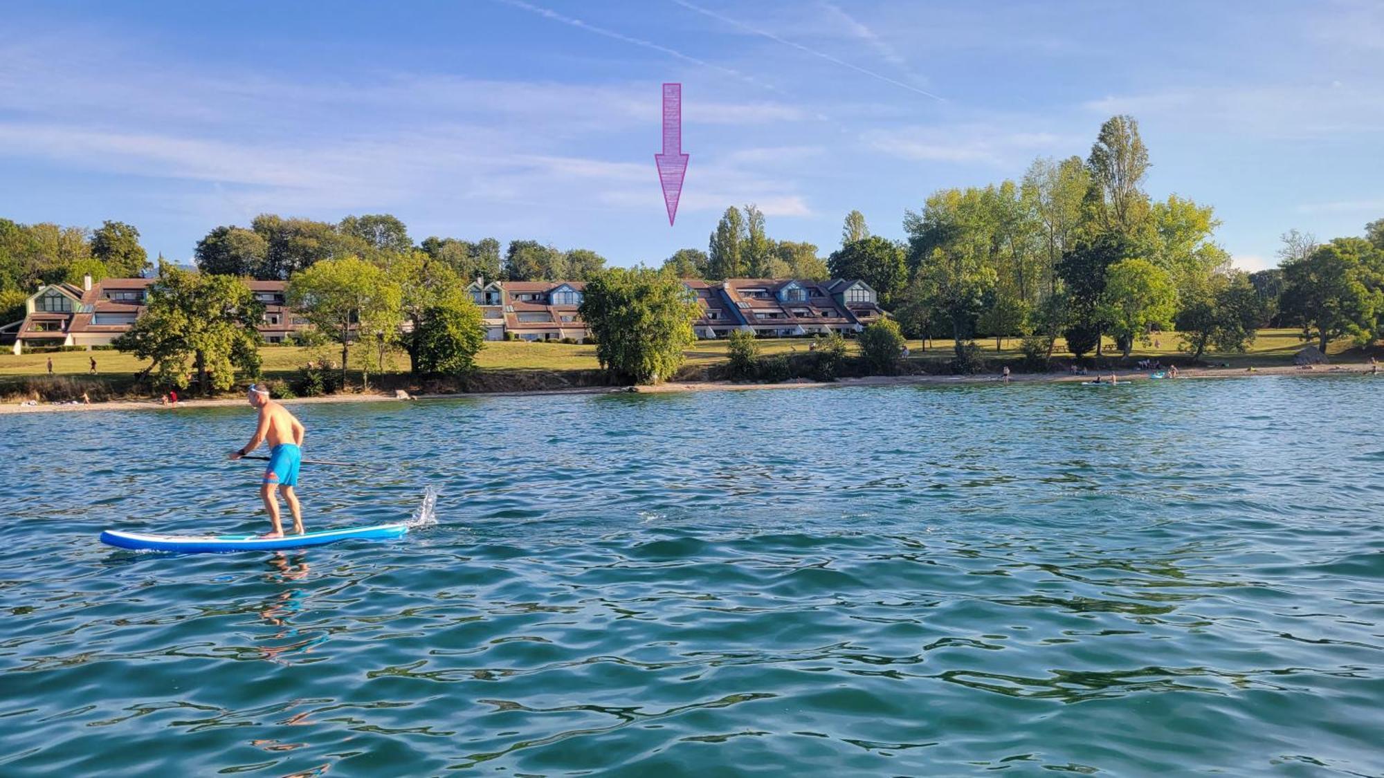 Lakefront. Appartement Pieds Dans L'Eau. View And Direct Access To The Lake. Anthy-sur-Leman Экстерьер фото